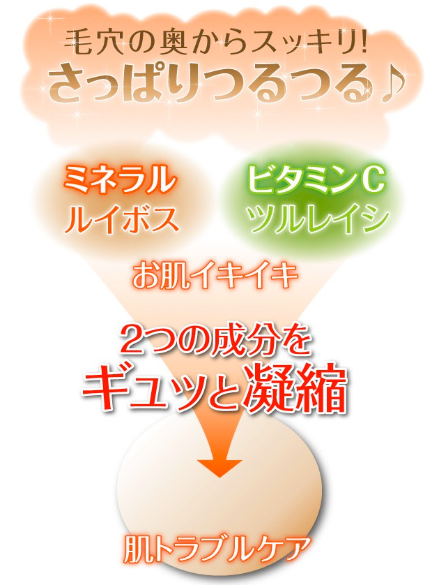���C�{�X�G�L�X�z���Ό�